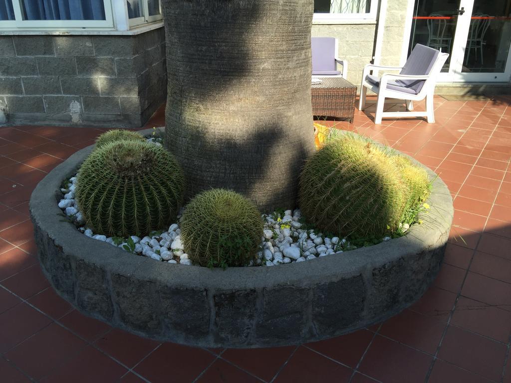 Hotel Villa Al Parco Forio di Ischia Exterior foto